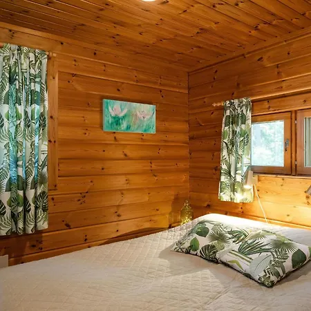 Ferienhaus Joutsenlahti By Interhome Patiala